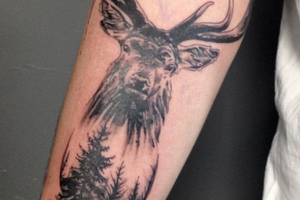 Photo d'un tatouage realiste de cerf et de sapins en noir et gris par Virginie